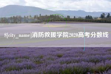 昌邑消防救援学院2020高考分数线