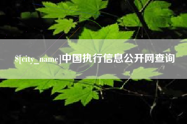 昌邑中国执行信息公开网查询