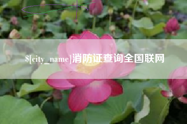 昌邑消防证查询全国联网
