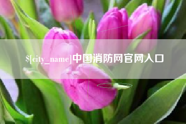 昌邑中国消防网官网入口