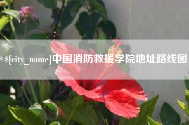 昌邑中国消防救援学院地址路线图