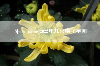 昌邑2022年九宫格飞星图