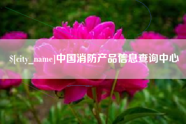 昌邑中国消防产品信息查询中心