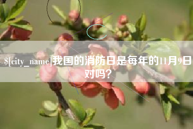 昌邑我国的消防日是每年的11月9日对吗？