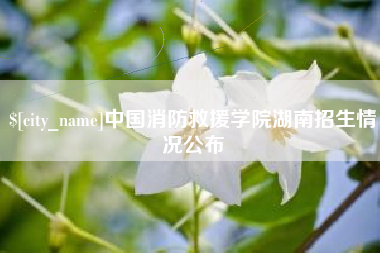 昌邑中国消防救援学院湖南招生情况公布