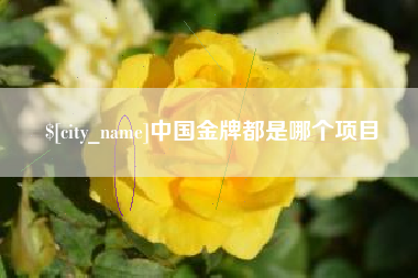 昌邑中国金牌都是哪个项目
