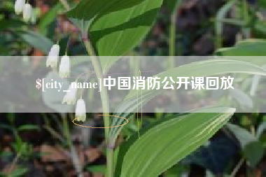 昌邑中国消防公开课回放