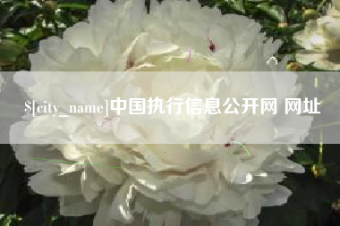 昌邑中国执行信息公开网 网址
