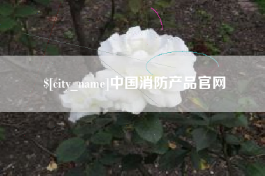昌邑中国消防产品官网