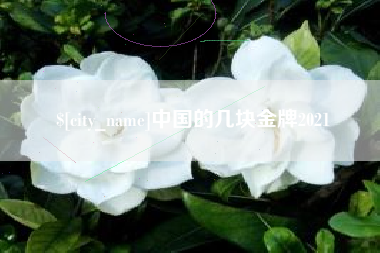 昌邑中国的几块金牌2021