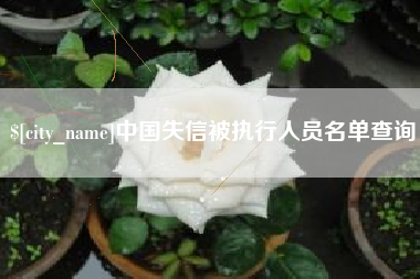 昌邑中国失信被执行人员名单查询