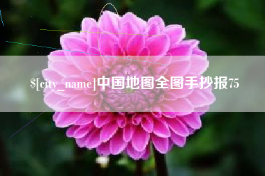 昌邑中国地图全图手抄报75