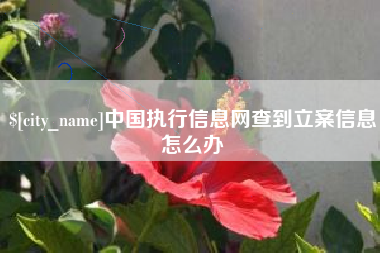 昌邑中国执行信息网查到立案信息怎么办