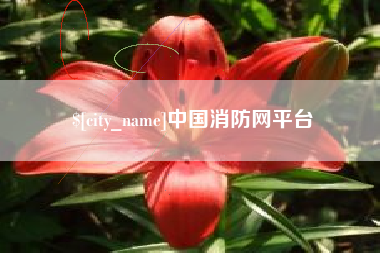 昌邑中国消防网平台