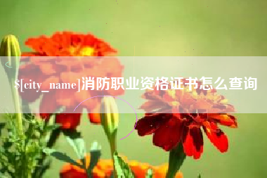昌邑消防职业资格证书怎么查询