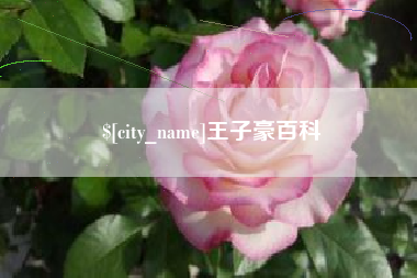 昌邑王子豪百科