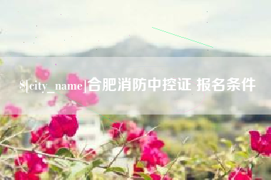 昌邑合肥消防中控证 报名条件