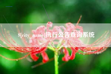 昌邑执行公告查询系统