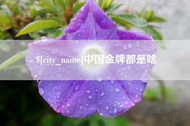 昌邑中国金牌都是啥