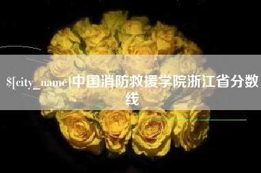 昌邑中国消防救援学院浙江省分数线