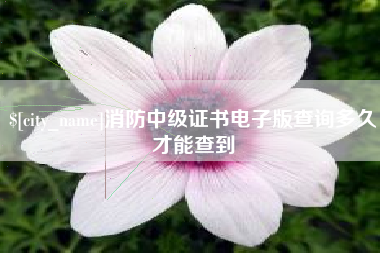 昌邑消防中级证书电子版查询多久才能查到