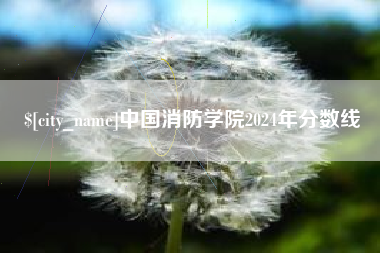 昌邑中国消防学院2024年分数线