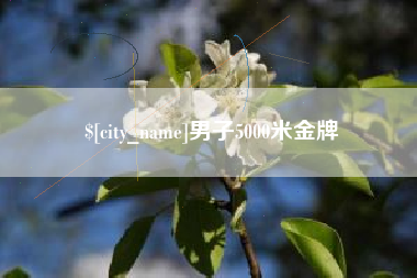 昌邑男子5000米金牌