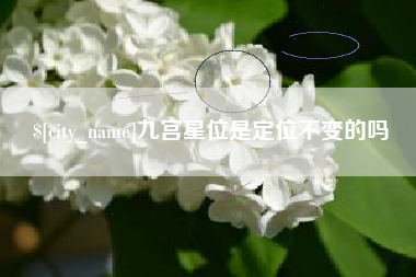 昌邑九宫星位是定位不变的吗