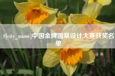 昌邑中国金牌图案设计大赛获奖名单