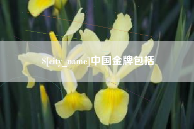昌邑中国金牌包括