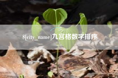 昌邑九宫格数字排序