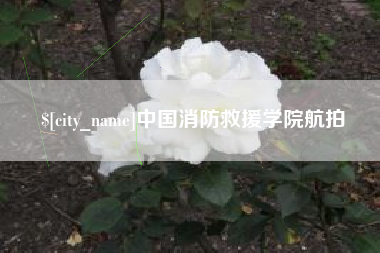 昌邑中国消防救援学院航拍