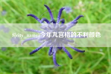 昌邑今年九宫格的不利颜色
