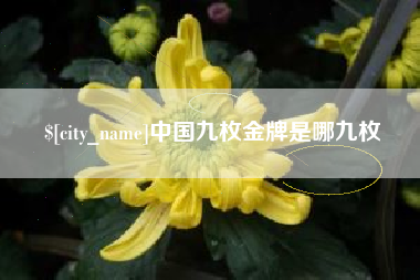 昌邑中国九枚金牌是哪九枚