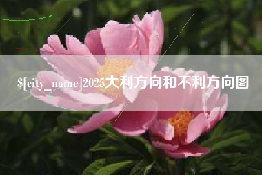昌邑2025大利方向和不利方向图