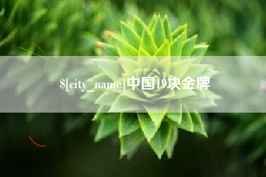 昌邑中国19块金牌