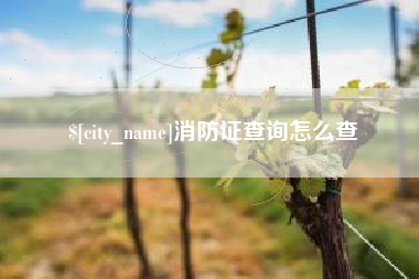 昌邑消防证查询怎么查