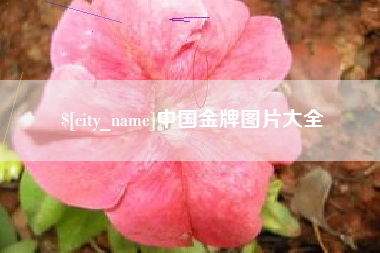 昌邑中国金牌图片大全