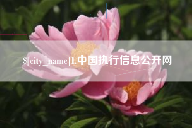 昌邑1.中国执行信息公开网