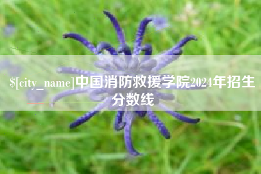 昌邑中国消防救援学院2024年招生分数线