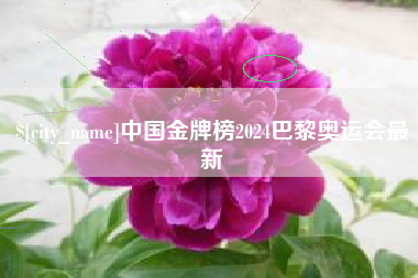 昌邑中国金牌榜2024巴黎奥运会最新