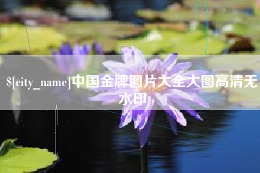 昌邑中国金牌图片大全大图高清无水印