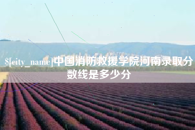 昌邑中国消防救援学院河南录取分数线是多少分