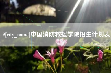 昌邑中国消防救援学院招生计划表