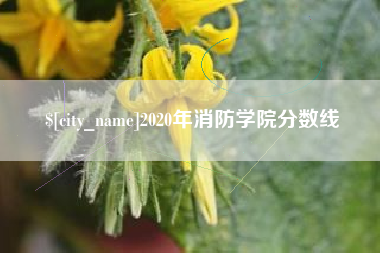 昌邑2020年消防学院分数线