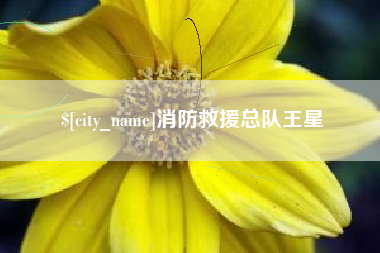 昌邑消防救援总队王星