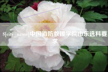 昌邑中国消防救援学院山东选科要求