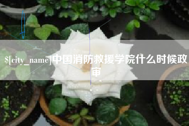 昌邑中国消防救援学院什么时候政审