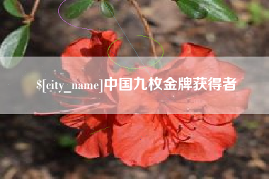 昌邑中国九枚金牌获得者