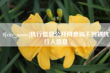 昌邑执行信息公开网查询不到被执行人信息